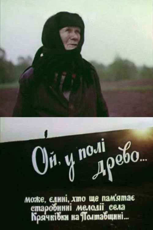 Hey, There Is A Tree In The Field... poster