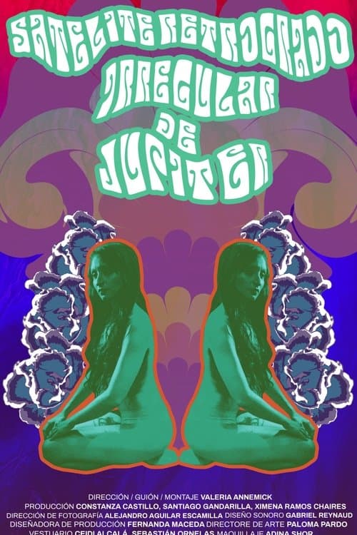 Satélite retrógrado irregular de Júpiter poster