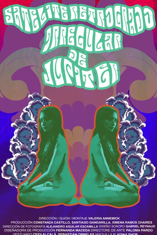 Satélite retrógrado irregular de Júpiter poster