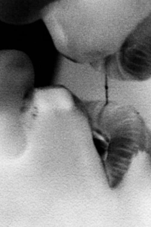 The Operation poster