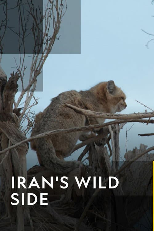 Iran's Wild Side poster