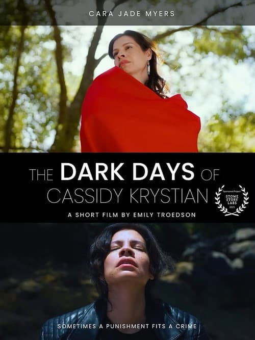 The Dark Days of Cassidy Krystian poster