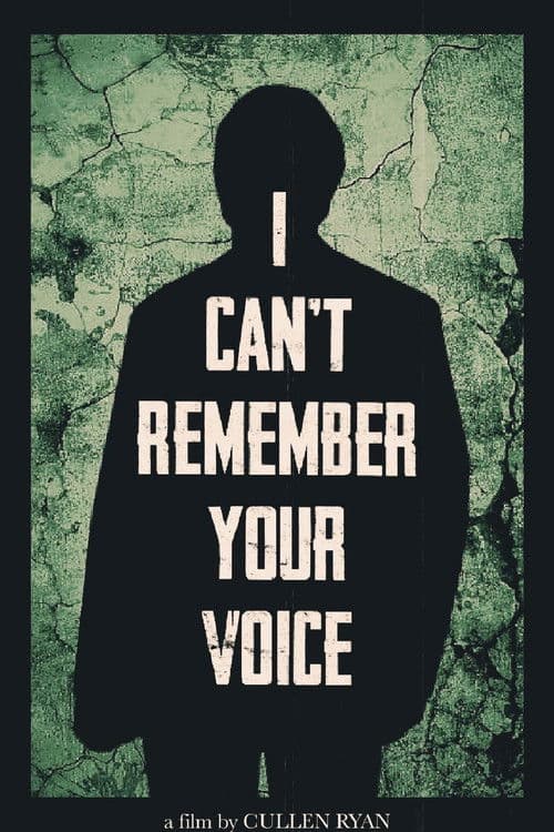 I Can’t Remember Your Voice poster