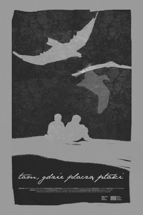 Where the Birds Cry poster