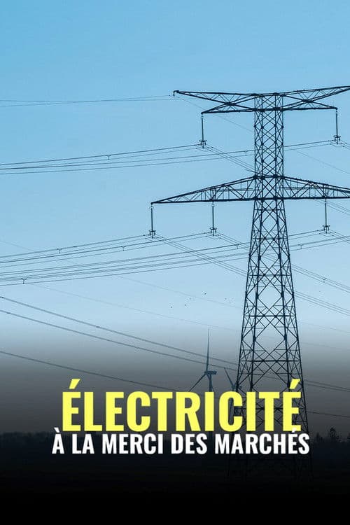 Électricité : à la merci des marchés