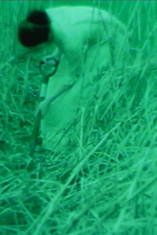 Dear God Please Save Me poster