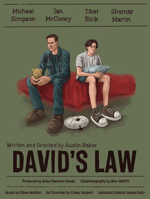 DAVID'S LAW poster