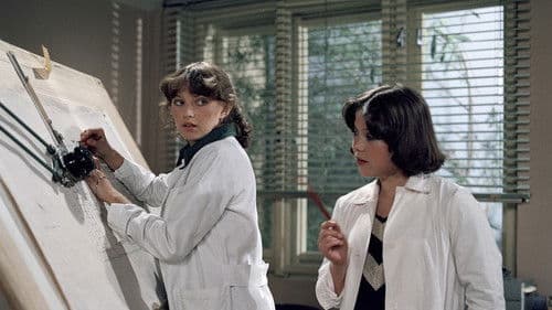 Svatební skandály slečny Juliány poster