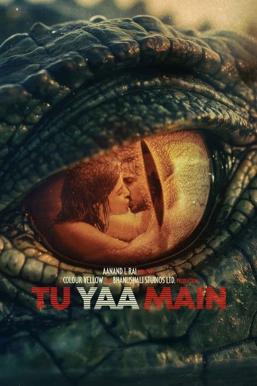 Tu Yaa Main poster