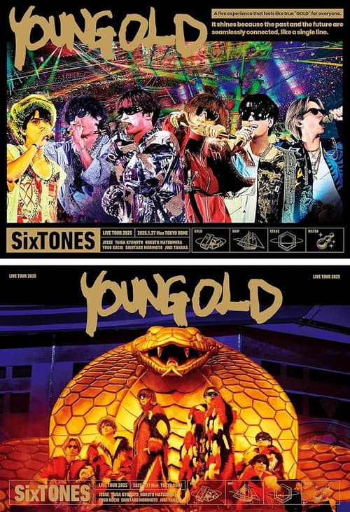 YOUNG OLD poster