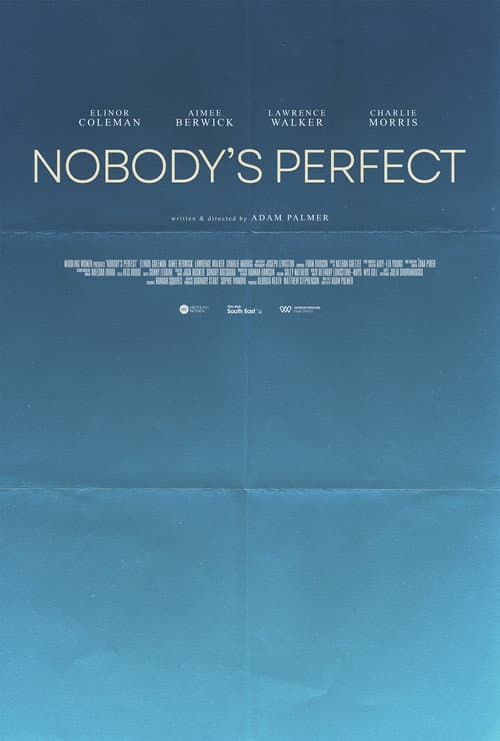 Nobody's Perfect poster