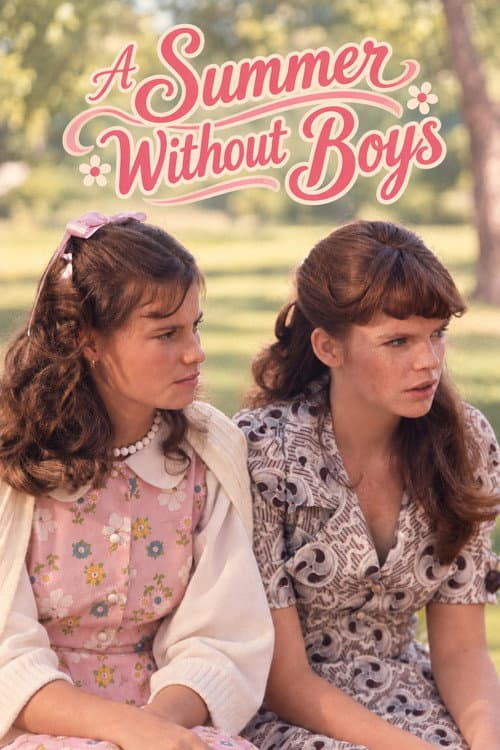 A Summer Without Boys poster