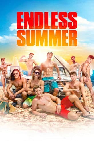 Endless Summer poster