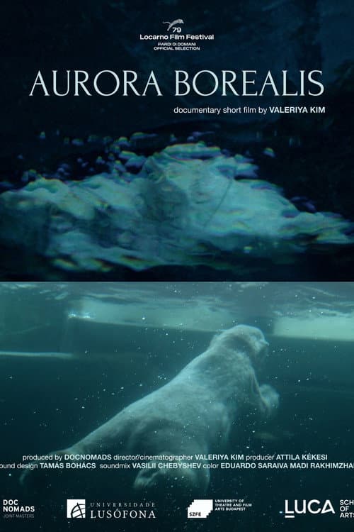 Aurora Borealis poster