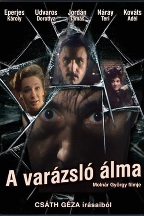 A varázsló álma poster