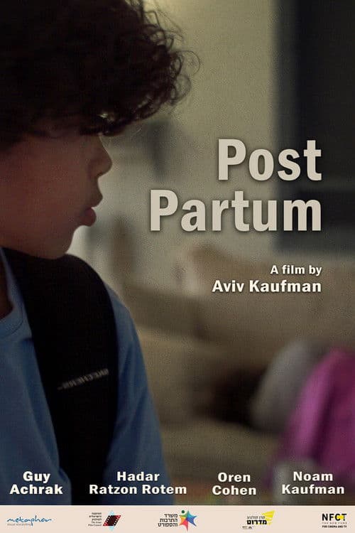Post Partum poster