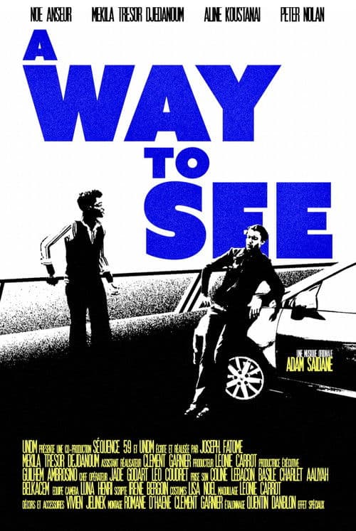 A Way To See poster