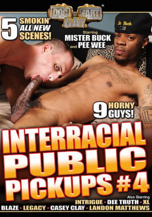 Interracial Public Pickups 4 poster