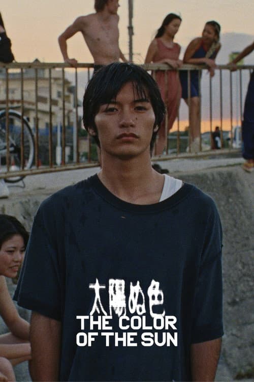 The Color of the Sun poster