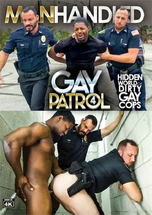 Gay Patrol 4 poster