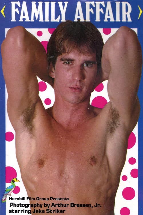 Family Affair poster