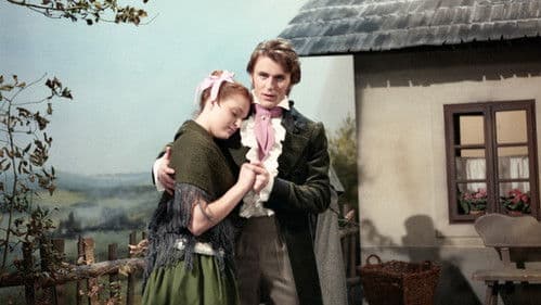 Perníkářka a větrný mládenec poster