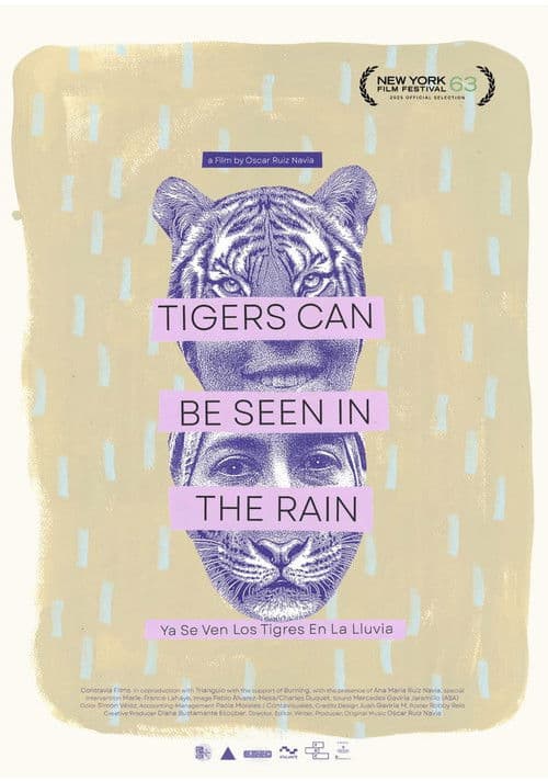 Tigers Can Be Seen In The Rain