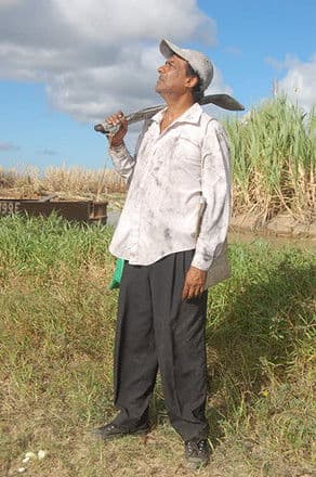 Brown Sugar Too Bitter for Me poster