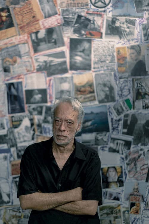 Fausto Fawcett na Cabeça poster