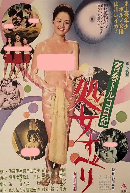 青春トルコ日記 処女すべり poster