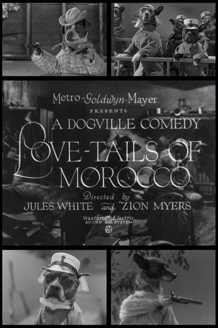 Love-Tails of Morocco poster