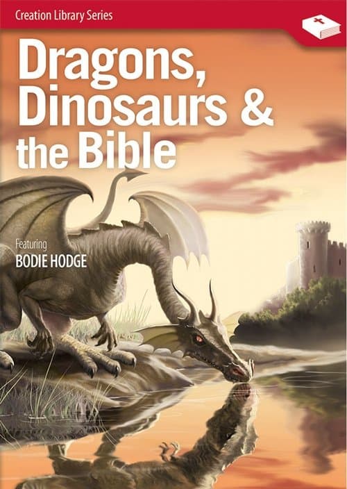 Dragons, Dinosaurs & the Bible poster