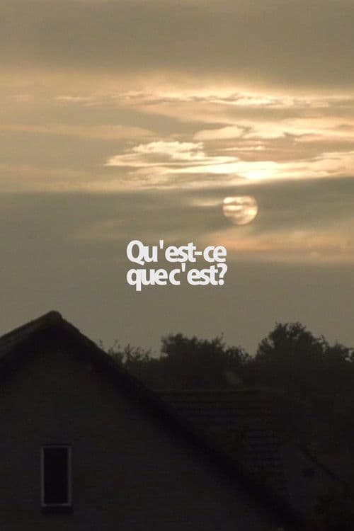 Qu'est-ce que c'est? poster