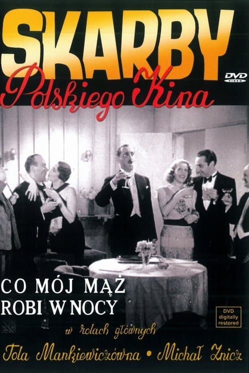 What Does My Husband Do at Night? poster