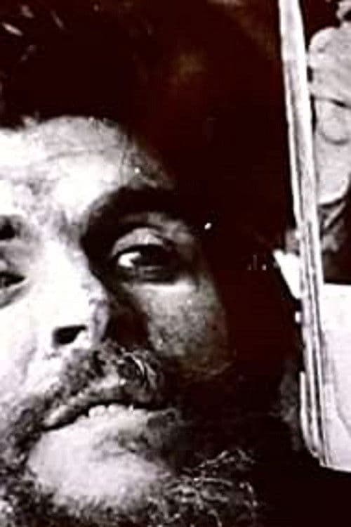 World in Action: End of a Revolution poster