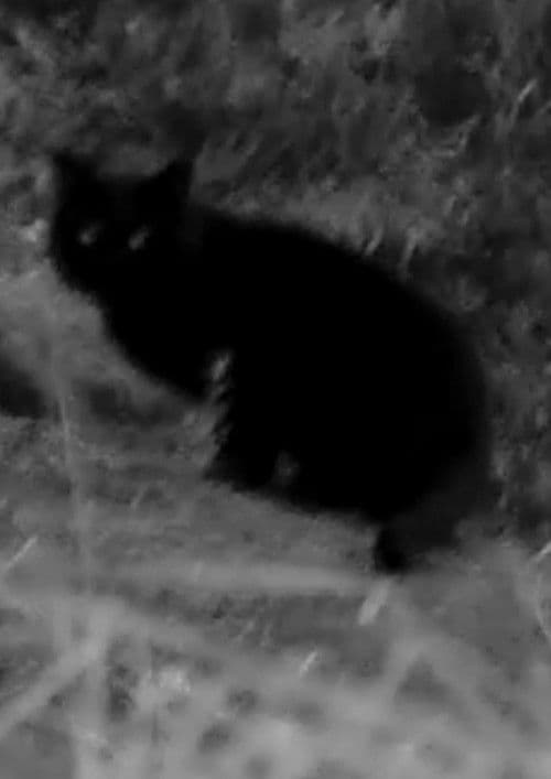 That's Not Me poster