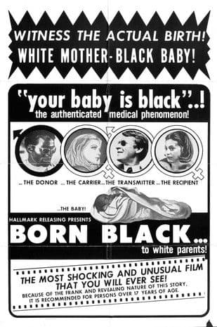 Born Black poster