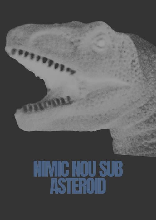 Nimic Nou Sub Asteroid poster