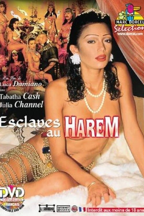 Esclaves Au Harem poster