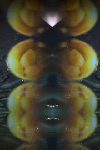 Howe Are You Island ?