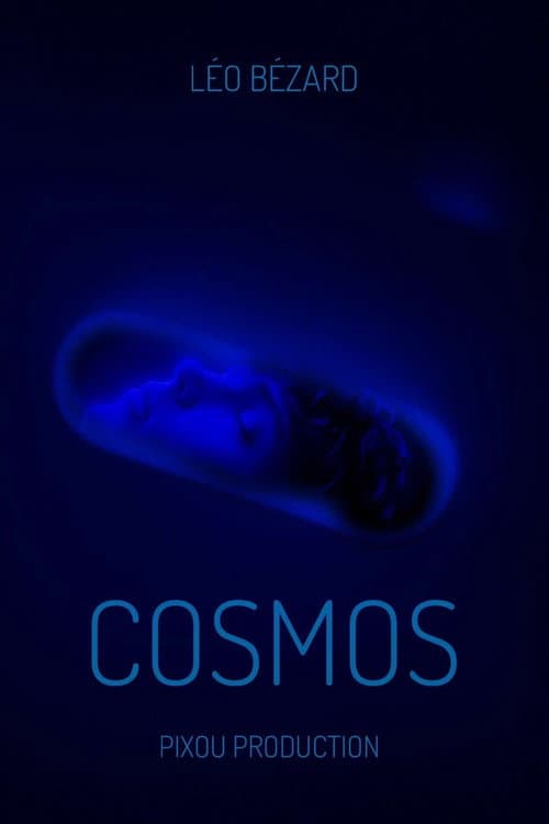 Cosmos poster