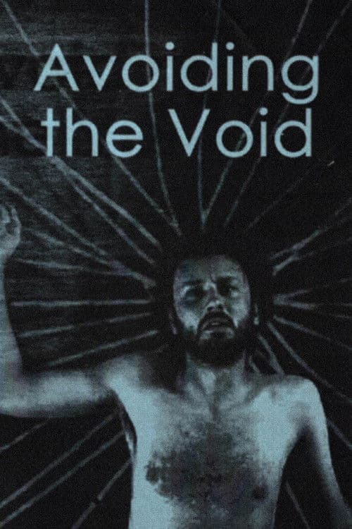 Avoiding the Void poster