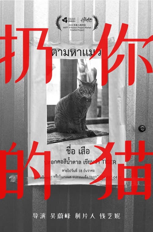 Drop Your Cat poster