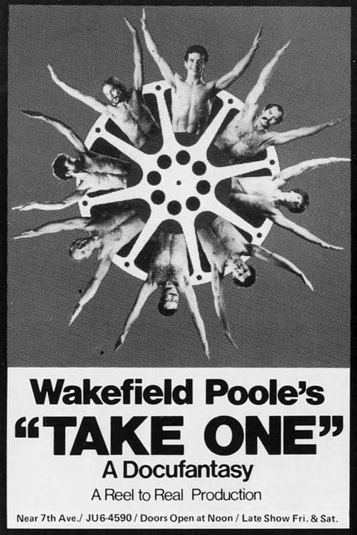Take One poster