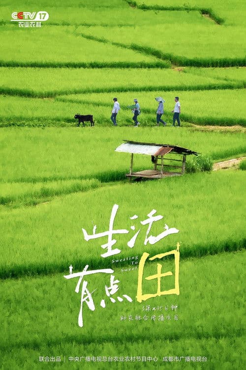 生活有点“田” poster