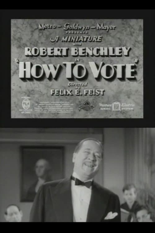 How to Vote poster