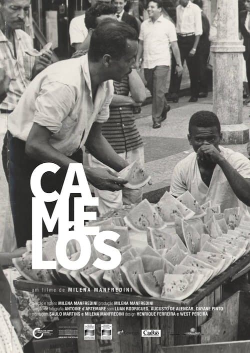 Camelôs poster