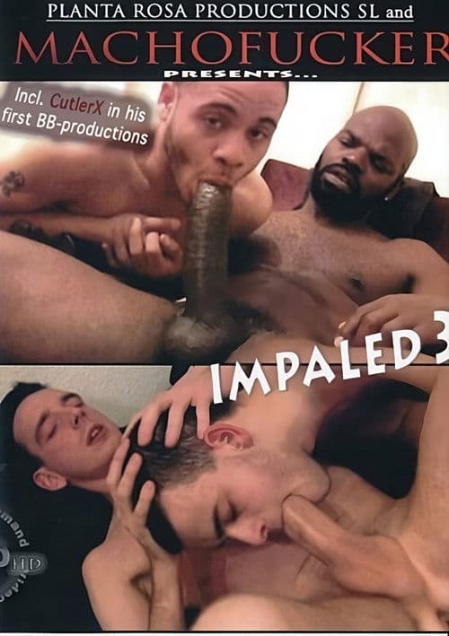 Impaled 3 poster