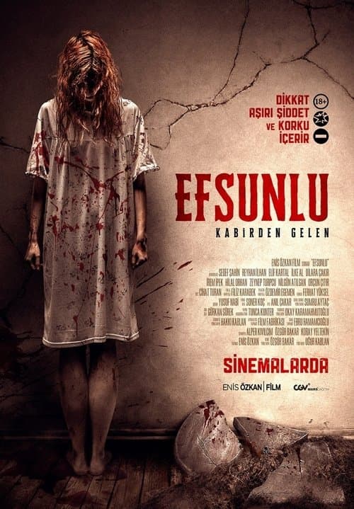 Efsunlu: Kabirden Gelen poster