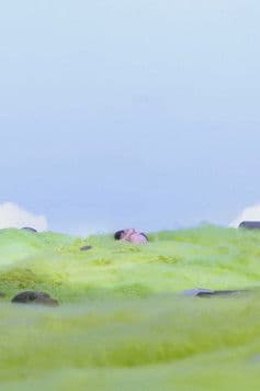 O the Grass Was Warm! poster